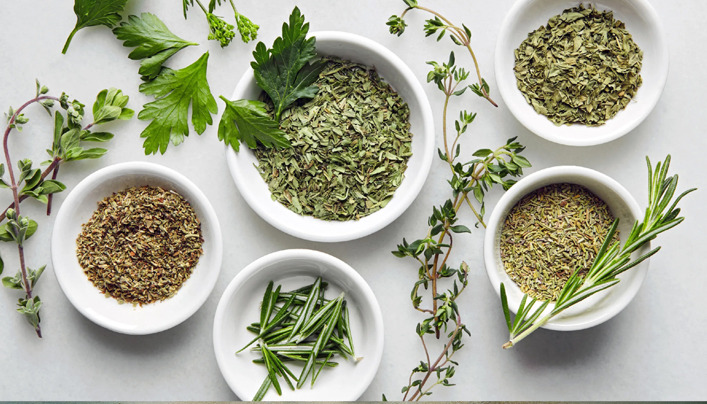 SS Global Tradewings Wings of Trade Sprite of Trust