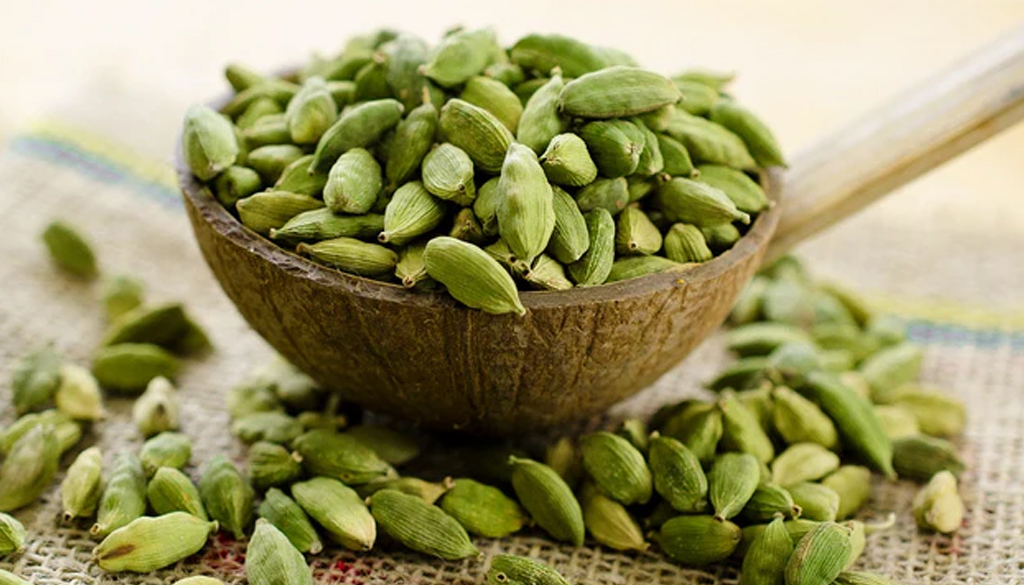 SS Global Tradewings Wings of Trade Sprite of Trust