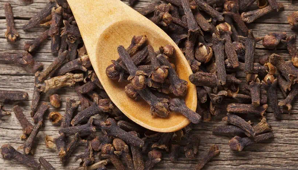 SS Global Tradewings Wings of Trade Sprite of Trust