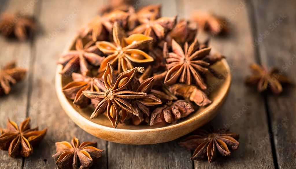 SS Global Tradewings Wings of Trade Sprite of Trust