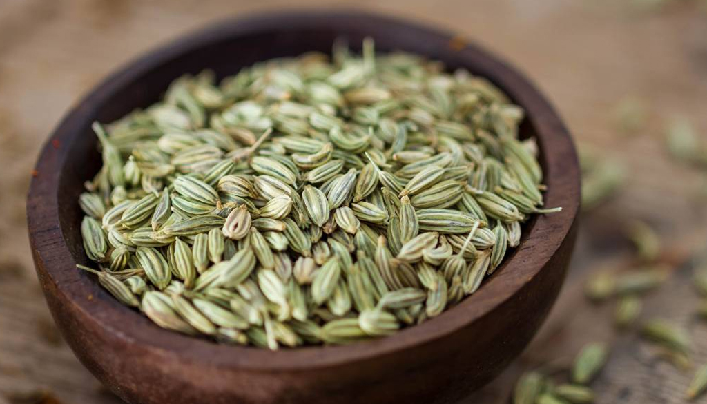 SS Global Tradewings Wings of Trade Sprite of Trust