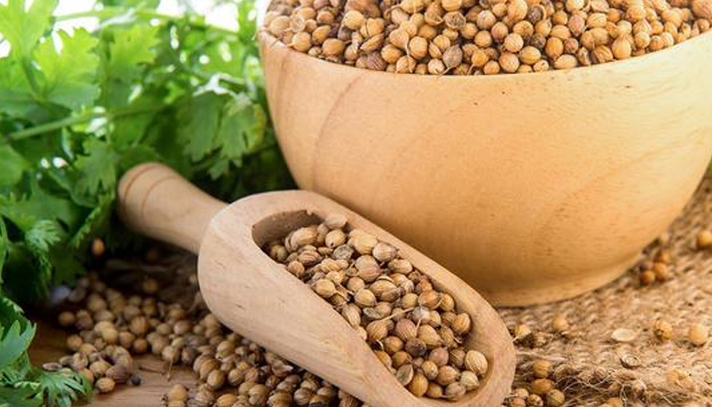 SS Global Tradewings Wings of Trade Sprite of Trust