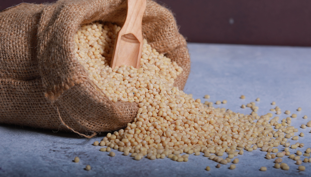 SS Global Tradewings Wings of Trade Sprite of Trust