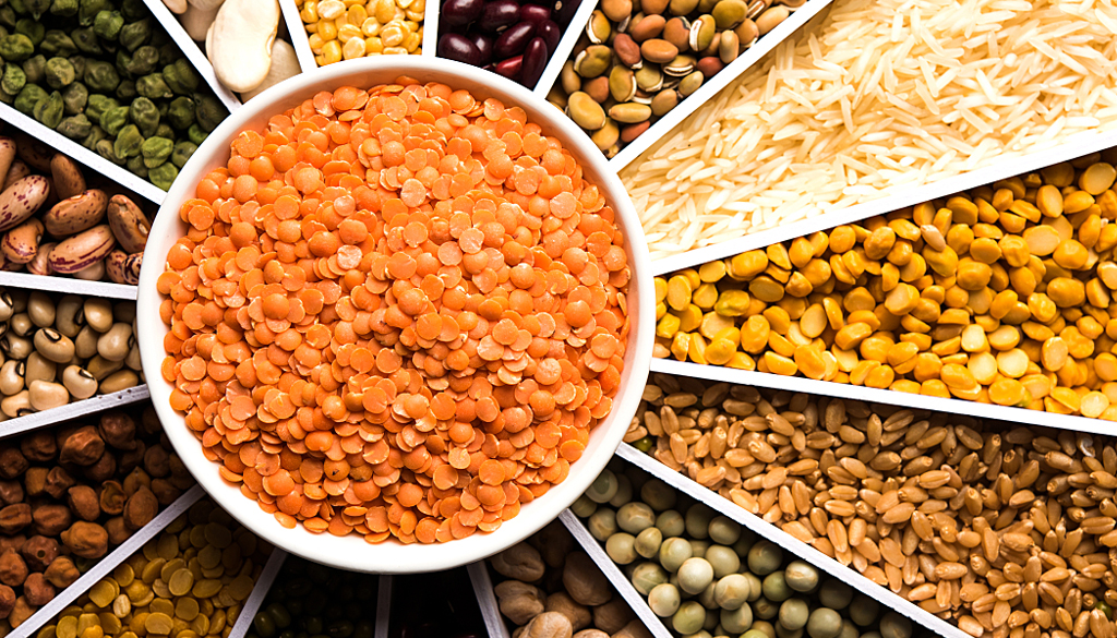 SS Global Tradewings Wings of Trade Sprite of Trust