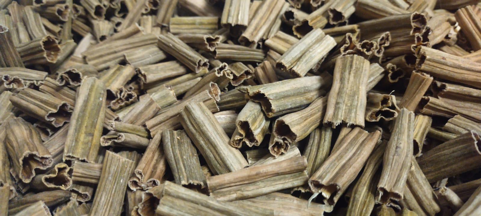 SS Global Tradewings Wings of Trade Sprite of Trust