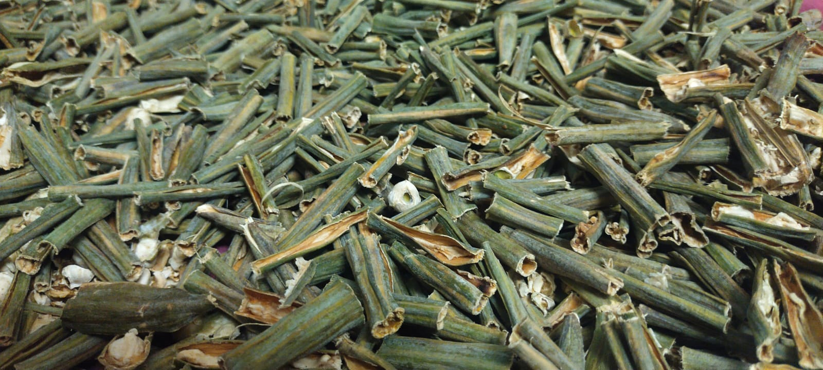 SS Global Tradewings Wings of Trade Sprite of Trust