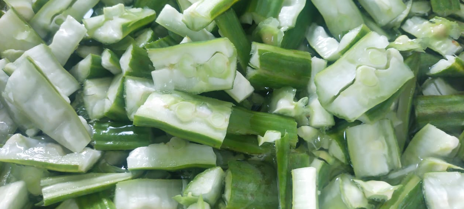 SS Global Tradewings Wings of Trade Sprite of Trust