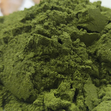 SS Global Tradewings Wings of Trade Sprite of Trust