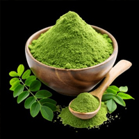 SS Global Tradewings Wings of Trade Sprite of Trust