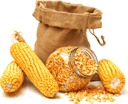 SS Global Tradewings Wings of Trade Sprite of Trust