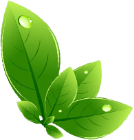 SS Global Tradewings Wings of Trade Sprite of Trust