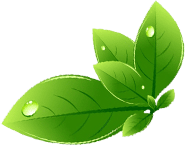 SS Global Tradewings Wings of Trade Sprite of Trust 