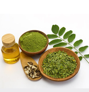 SS Global Tradewings Wings of Trade Sprite of Trust