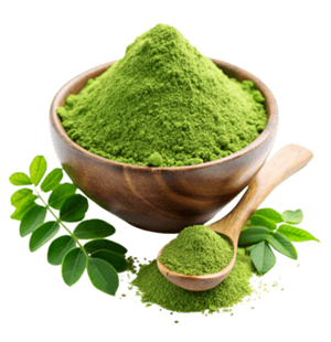 SS Global Tradewings Wings of Trade Sprite of Trust