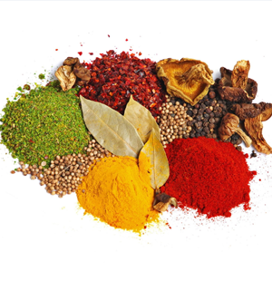 SS Global Tradewings Wings of Trade Sprite of Trust