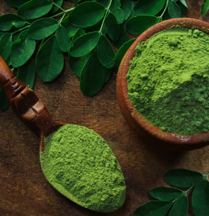 SS Global Tradewings Wings of Trade Sprite of Trust