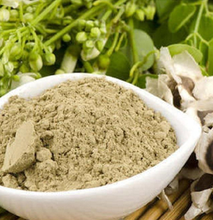 SS Global Tradewings Wings of Trade Sprite of Trust