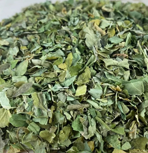 SS Global Tradewings Wings of Trade Sprite of Trust