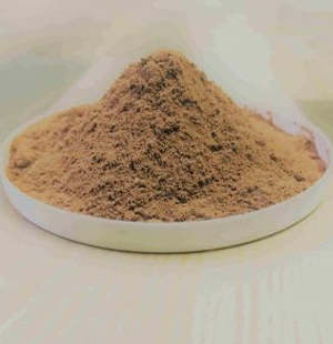 SS Global Tradewings Wings of Trade Sprite of Trust