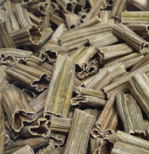 SS Global Tradewings Wings of Trade Sprite of Trust