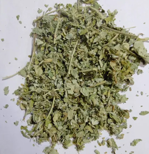 SS Global Tradewings Wings of Trade Sprite of Trust