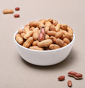 SS Global Tradewings Wings of Trade Sprite of Trust