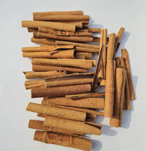 SS Global Tradewings Wings of Trade Sprite of Trust