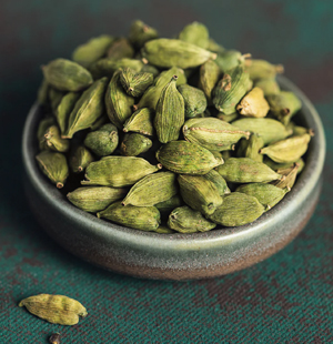 SS Global Tradewings Wings of Trade Sprite of Trust