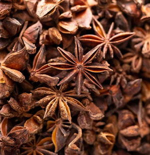 SS Global Tradewings Wings of Trade Sprite of Trust