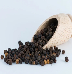 SS Global Tradewings Wings of Trade Sprite of Trust