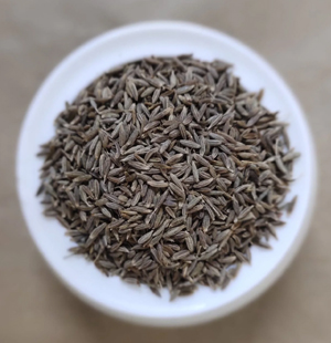 SS Global Tradewings Wings of Trade Sprite of Trust