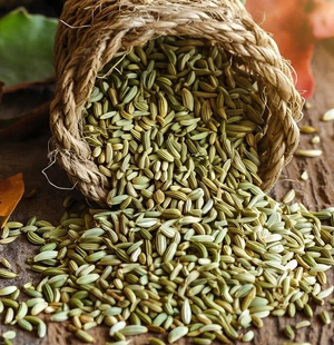 SS Global Tradewings Wings of Trade Sprite of Trust