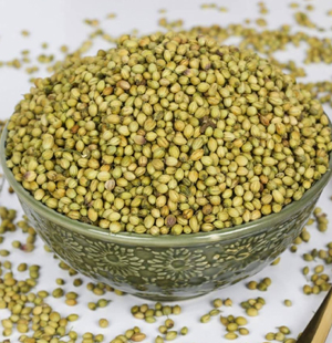 SS Global Tradewings Wings of Trade Sprite of Trust