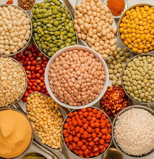 SS Global Tradewings Wings of Trade Sprite of Trust