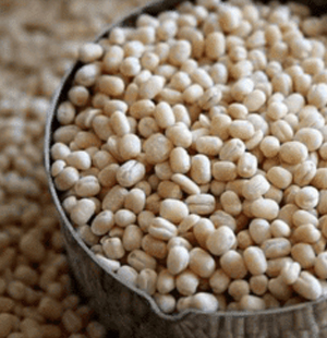 SS Global Tradewings Wings of Trade Sprite of Trust